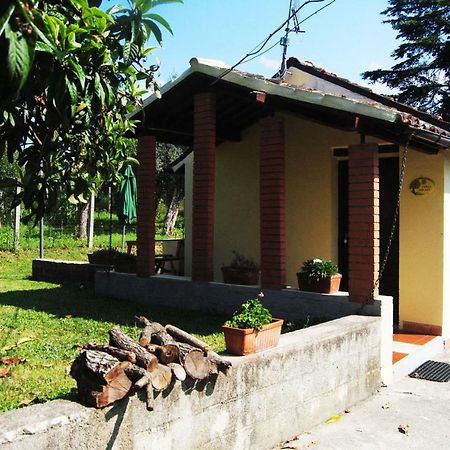 Villa L'Albero Delle Noci Lanciano Exterior foto